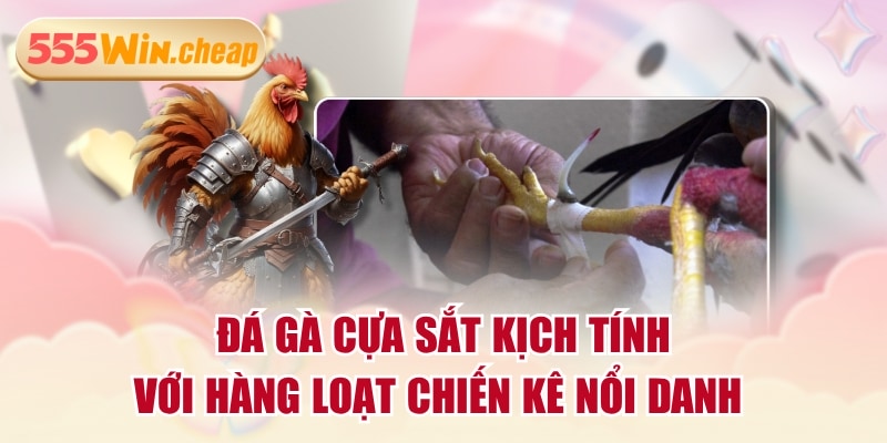 Đá Gà Cựa Sắt Kịch Tính Với Hàng Loạt Chiến Kê Nổi Danh