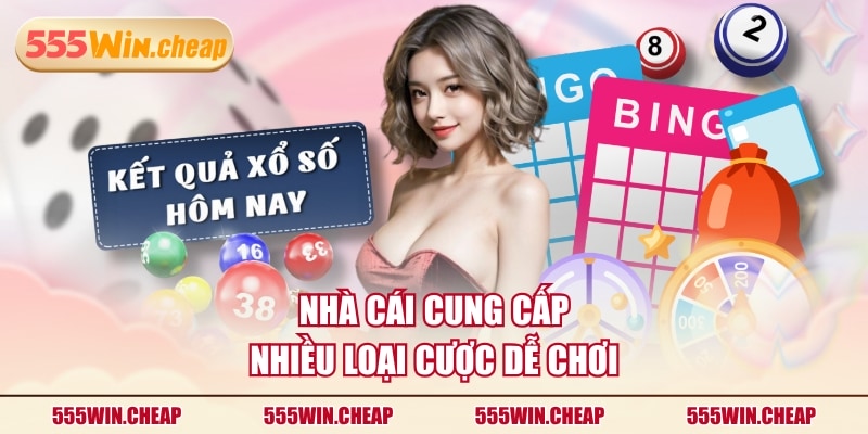 Nhà cái cung cấp nhiều loại cược dễ chơi